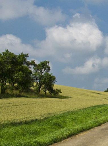 Vendre un terrain